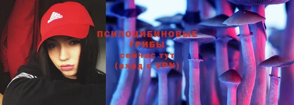 гашик Богородицк