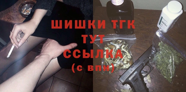 гашик Богородицк